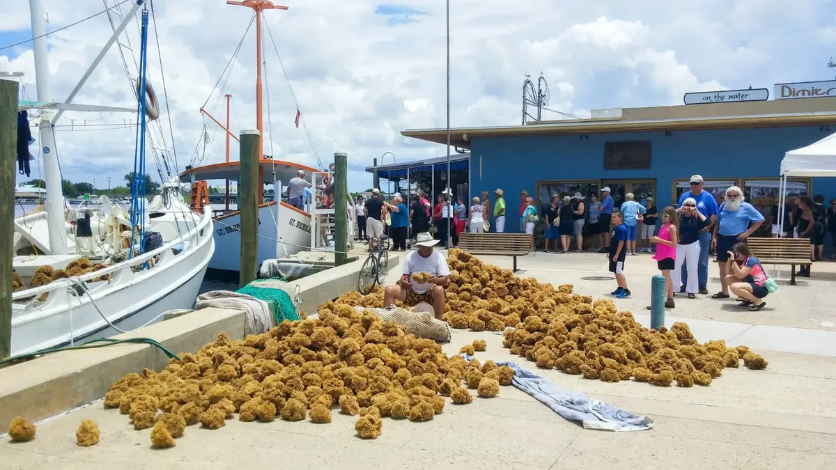 Gulf beaches and coastal towns